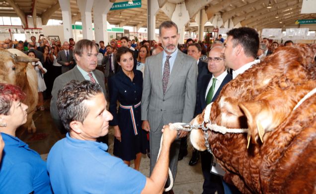 Don Felipe y Doña Letizia observan un ejemplar de ganado bovino en la zona ganadera
